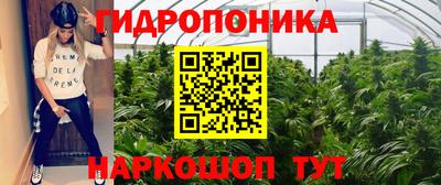 mdpv Краснокаменск