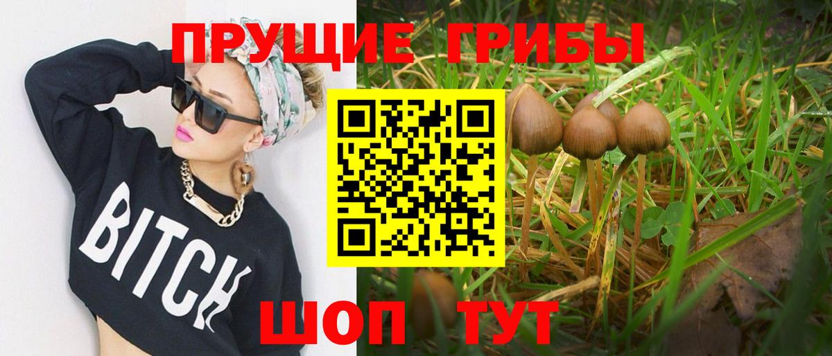 Псилоцибиновые грибы Magic Shrooms  Вход с VPN  Надым 